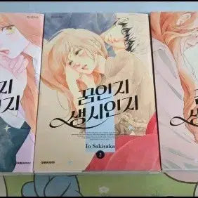 [BUNJANG] Dream or Reality Manga Volumes 1-3 / 꿈인지 생시인지 만화책 판매합니다. (상태 매우 좋음)