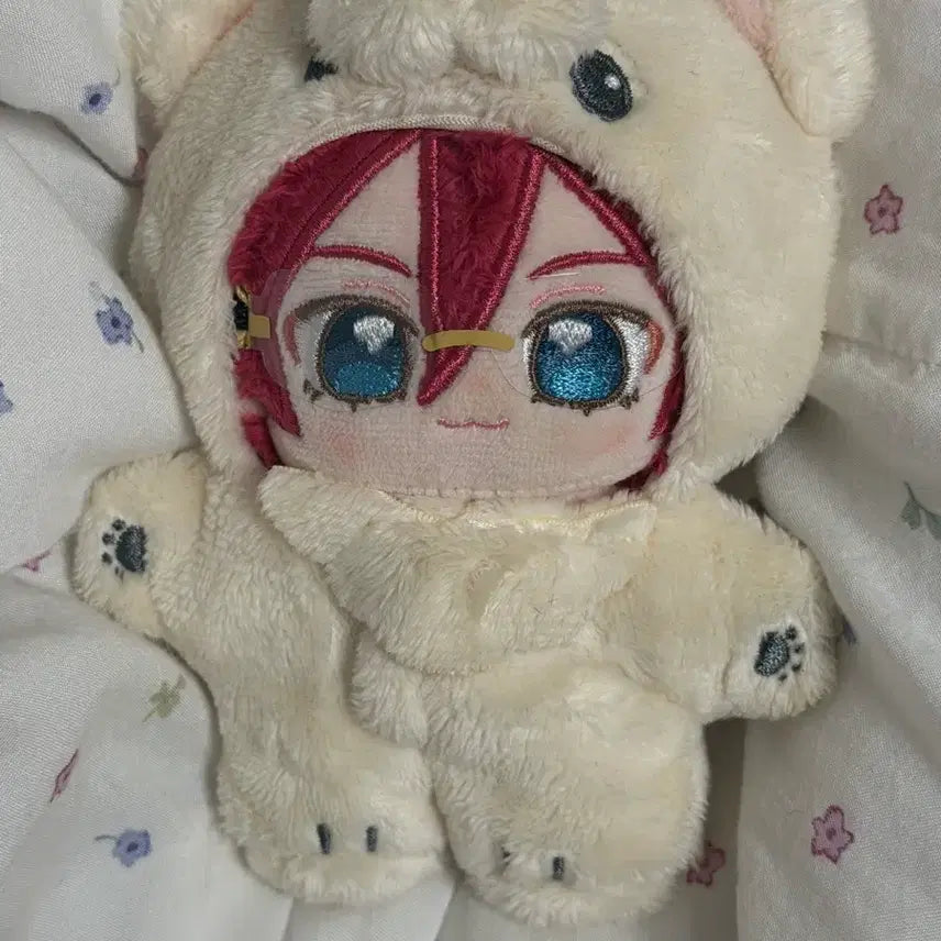[BUNJANG] Ibara Bear Plush Doll / 이바라 곰누이