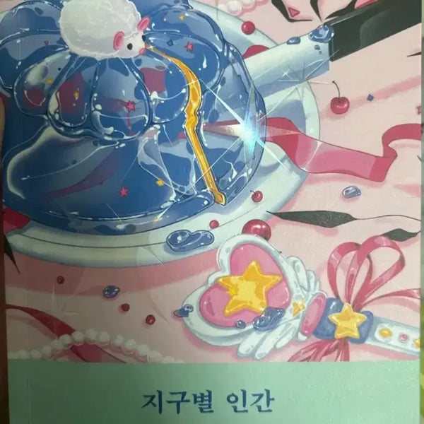 [BUNJANG] Sayaka Murata The Earth Spins Well Novel / 번장최저가)지구별인간 무라타 사야카 소설책 판매