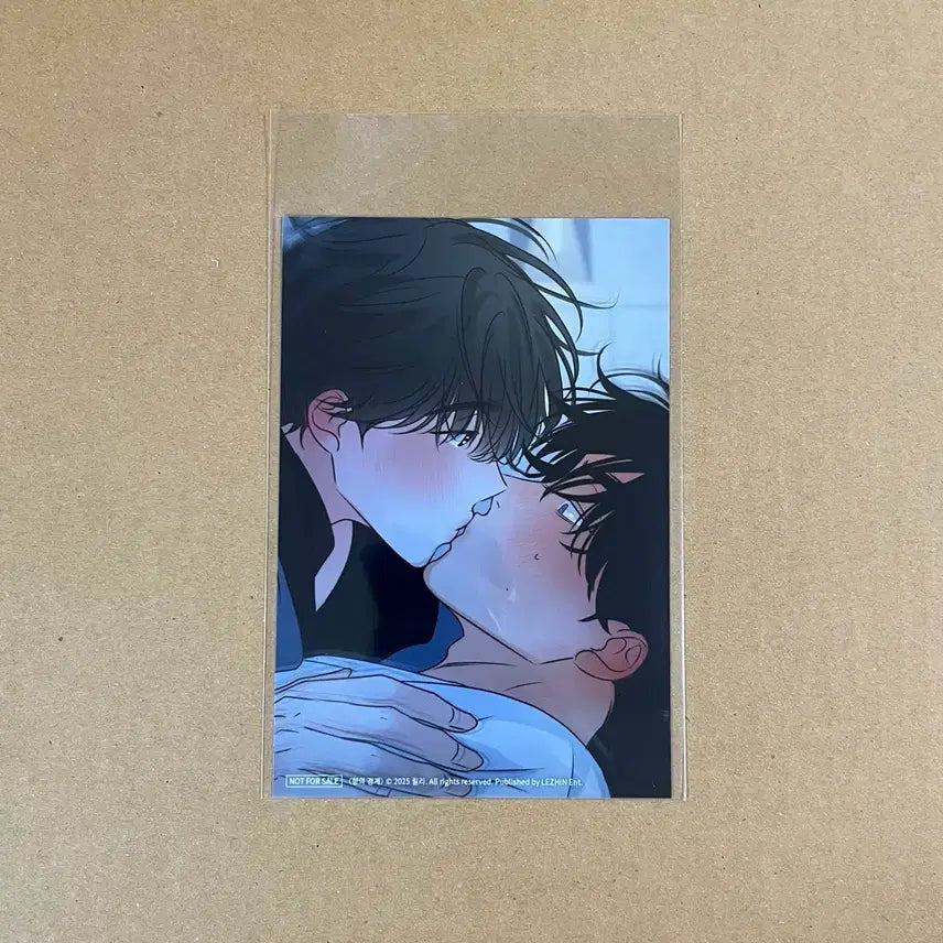 [BUNJANG] Abright Resin Pop-Up Scent of the Boundary Header Print Set / 아밝 레진 팝업 향의경계 헤더 인화사진
