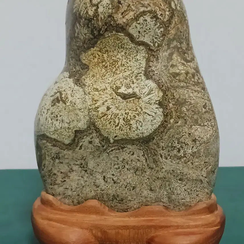 [BUNJANG] Cheongsong Flower Stone / 청송꽃돌