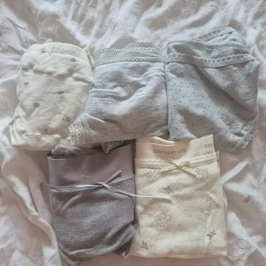 [BUNJANG] Women's Panties - 5 Piece Bundle Set / 여성팬티 일괄