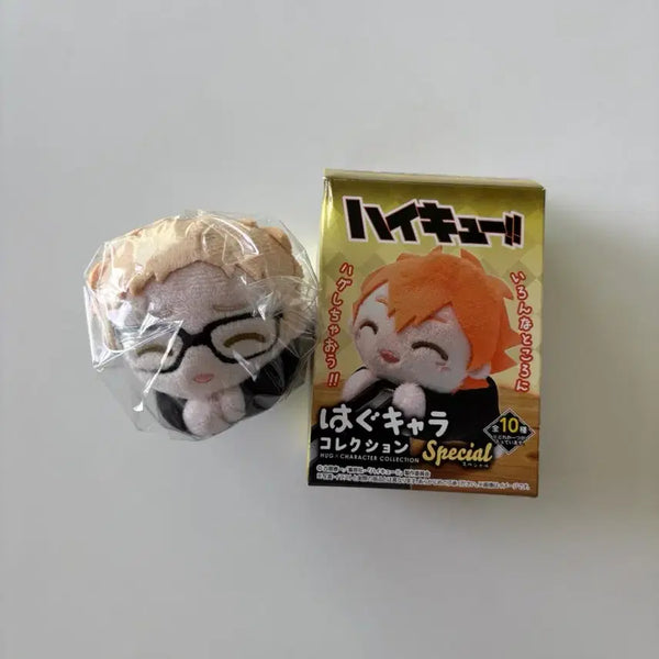 [BUNJANG] Haikyuu!! Tsukishima Kei Hug Character Plush (Sealed) / 하이큐 츠키시마 케이 허그캬라