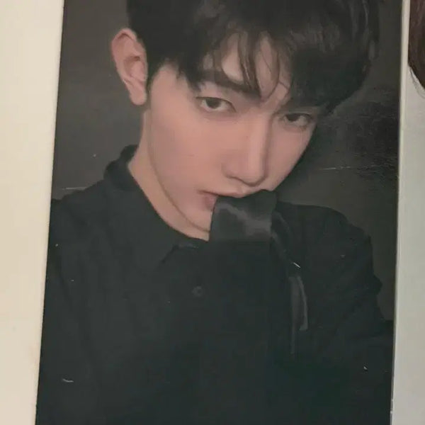 [BUNJANG] ZEROBASEONE Zhang Hao M2U M2U Records Photocard / 앤더블 장하오 물었타이 포카 엠투유 엠투유레코드
