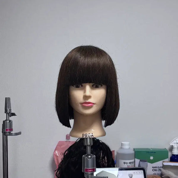 [BUNJANG] Proa Cheon Hye-in Human Hair 70cm Cut Wig / 프로아 천혜인 인모70 커트가발 판매(서경대커트)