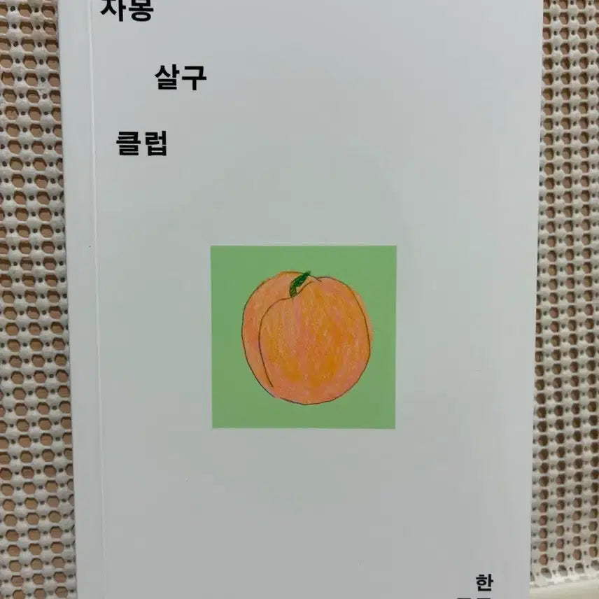 [BUNJANG] Han Roro Novel <Grapefruit Apricot Club> / 가수 한로로 소설책 <자몽 살구 클럽>