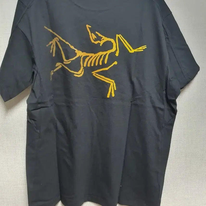 [BUNJANG] Arc'teryx T-Shirt Black XL / 아크테릭스 반팔 티셔츠 블랙xl