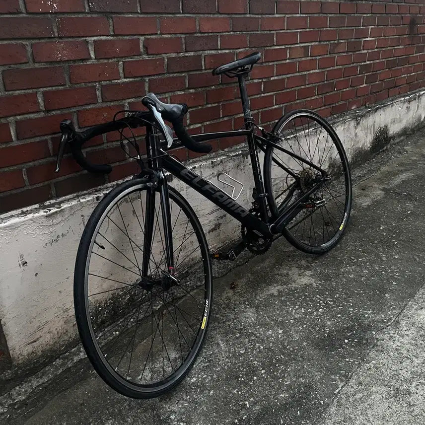 [BUNJANG] Elpama Epoca Road Bike / 엘파마 에포카 로드 판매,대차