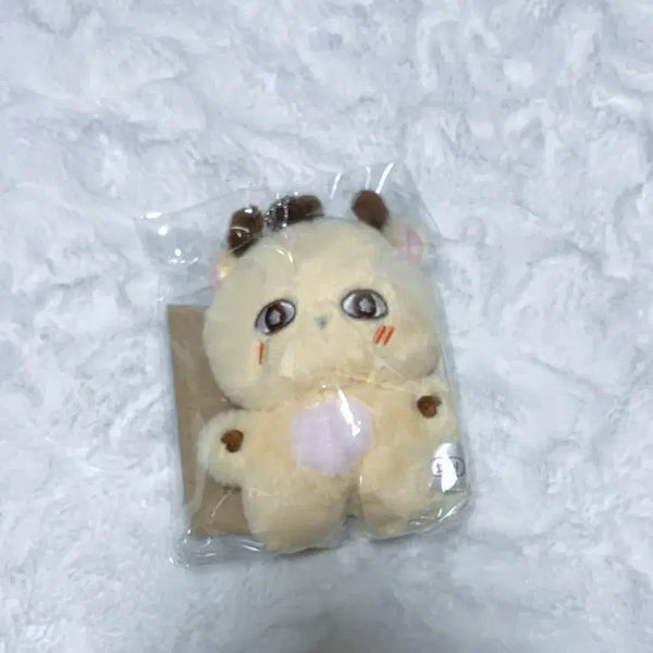 [BUNJANG] Park Ji Hoon So Simi Doll Photocard / 박지훈 소심이 인형 포카
