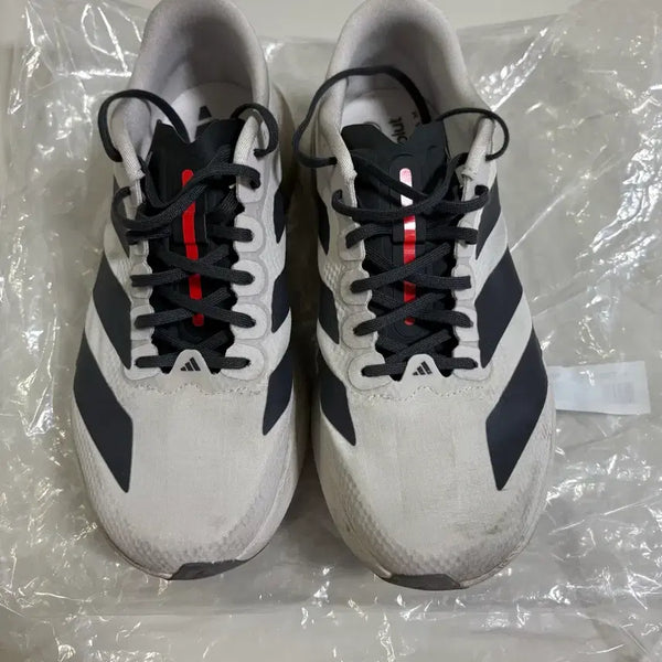 [BUNJANG] Adidas EVO SL Audi Running Shoes / 아디다스 EVO SL 아우디 250 러닝화