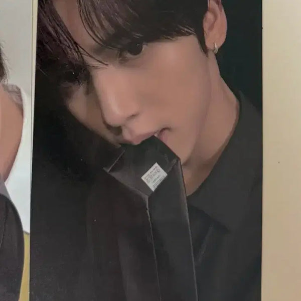 [BUNJANG] ANDWILD YooJin Photocard M2U / 앤더블 한유진 물었타이 포카 양도 엠투유 엠투유레코드