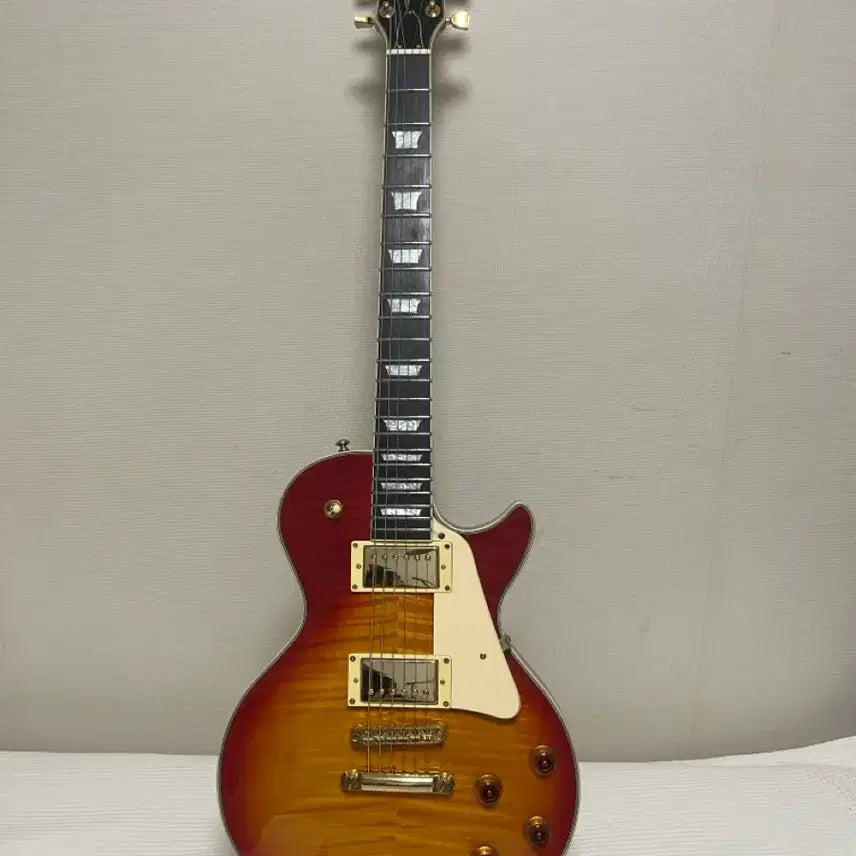 [BUNJANG] Dame LP5 Electric Guitar / 데임 LP5
