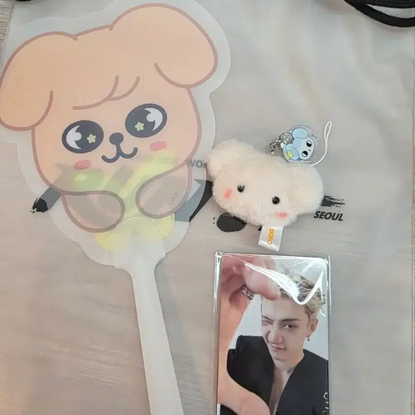[BUNJANG] Stray Kids Run It Concert PERMFIRM Entry Kit Set / 스트레이키즈 런잇  콘서트 퍼핌 입장 키트 세트