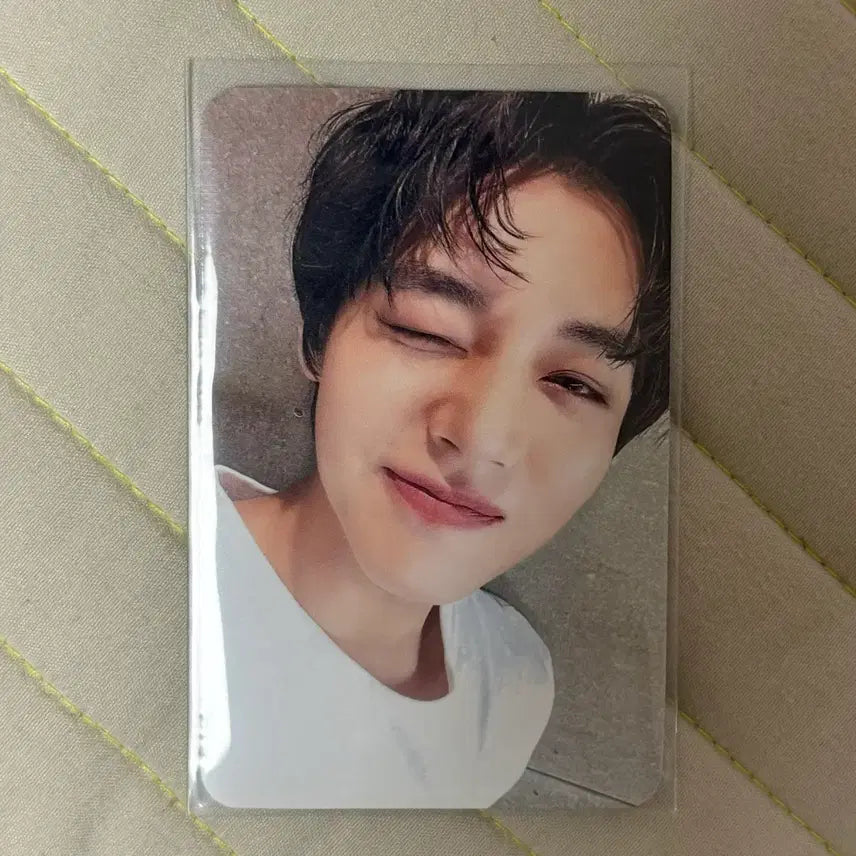 [BUNJANG] Park Ji Hoon Mamute D'Antsar Lucky Draw Photocard / 박지훈 마뮤테 미공포 양도 디엔서