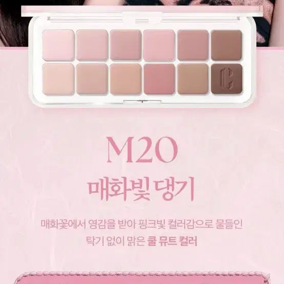 [BUNJANG] Clio Pro Eye Palette 03 Plum Blossom / (새상품)클리오 팔레트 03 매화빛 댕기