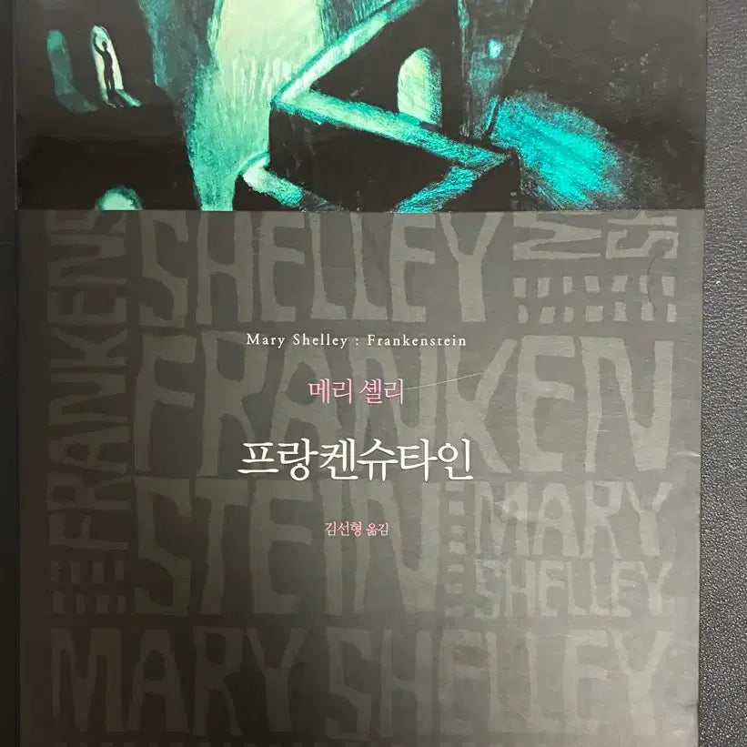 [BUNJANG] Frankenstein / 프랑켄슈타인 (문학동네)