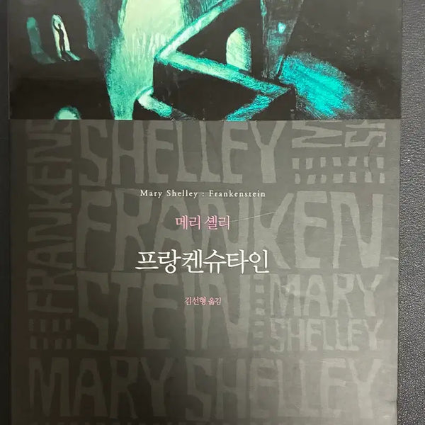 [BUNJANG] Frankenstein / 프랑켄슈타인 (문학동네)