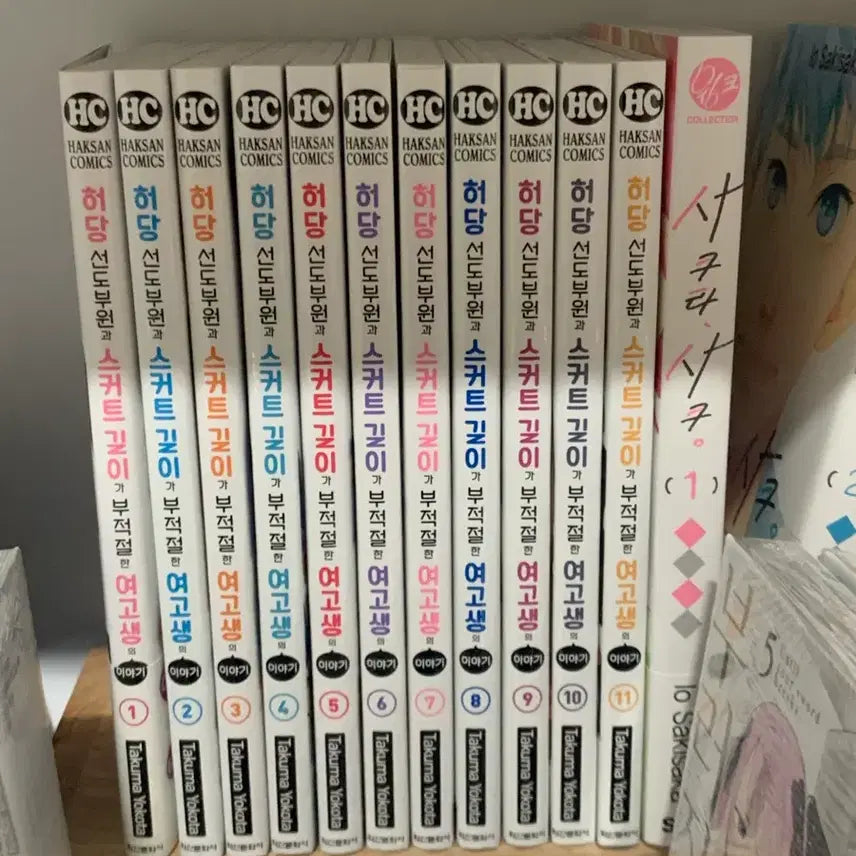 [BUNJANG] Dud Leader of the Disciplinary Committee: High School Girl With Inappropriate Skirt Length Vol. 1-11 / 허당 선도부원 스커트 길이 부적절 여고생 1-11권