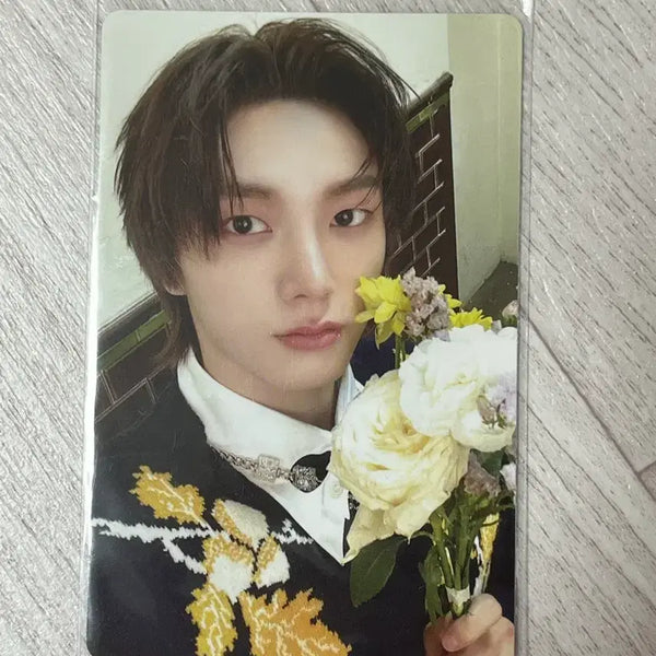[BUNJANG] BOYNEXTDOOR Sungho Photocard / 보넥도 성호 포카