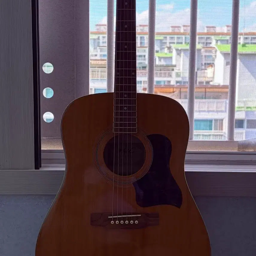[BUNJANG] Phil Acoustic Guitar / phil 통기타(어쿠스틱)
