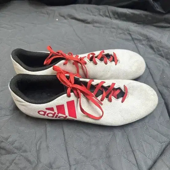 [BUNJANG] Adidas Soccer Cleats (265mm) / 아디다스 축구화 급처 (265)