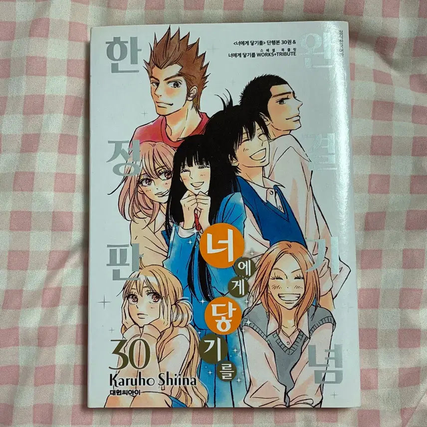 [BUNJANG] Kimi ni Todoke Complete Edition Limited Set / 너에게 닿기를 30권 완결기념 한정판