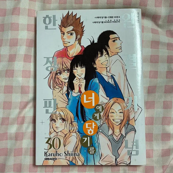 [BUNJANG] Kimi ni Todoke Complete Edition Limited Set / 너에게 닿기를 30권 완결기념 한정판