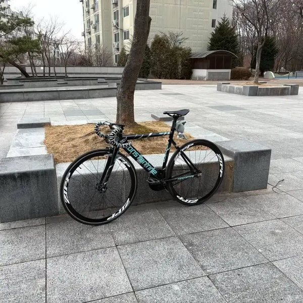 [BUNJANG] Constantine Bernard 25' Black Frame Bicycle / 버나드 (2025)