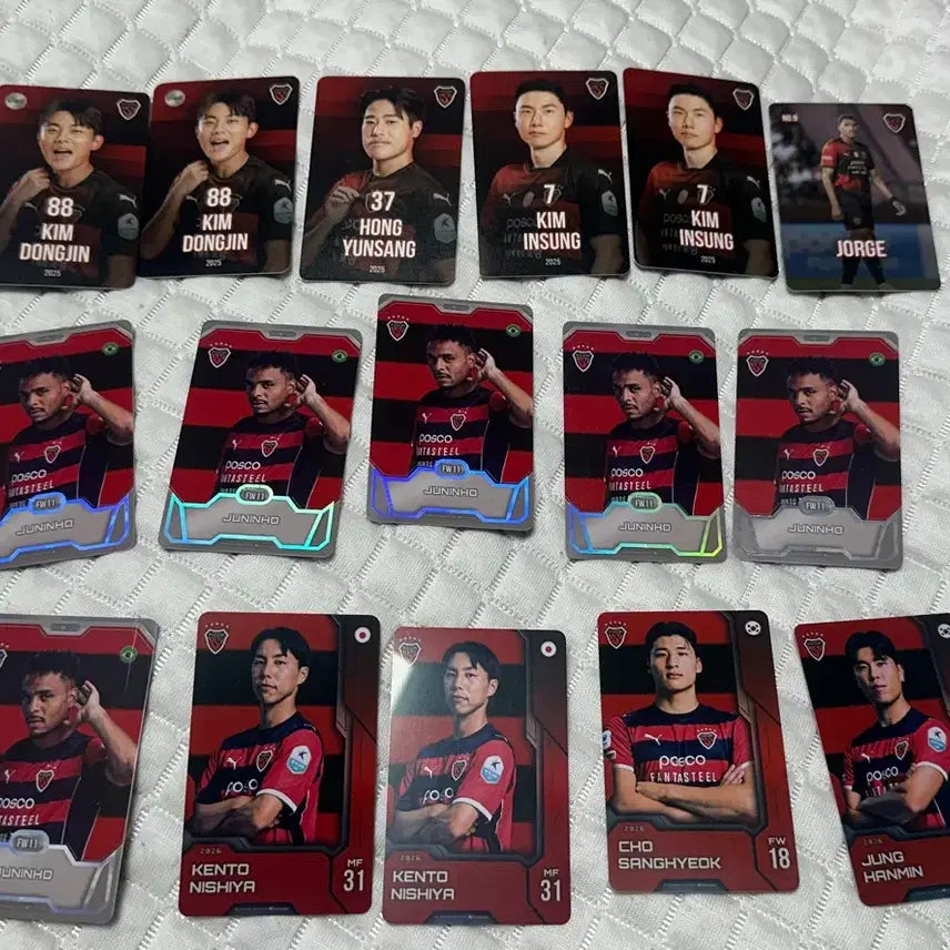 [BUNJANG] Pohang Steelers Player Card Set / 포항 스틸러스 선수 카드 세트