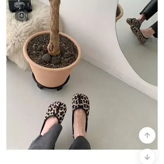 [BUNJANG] Leopard Print Tabi Shoes (240) / 호피 타비슈즈 240