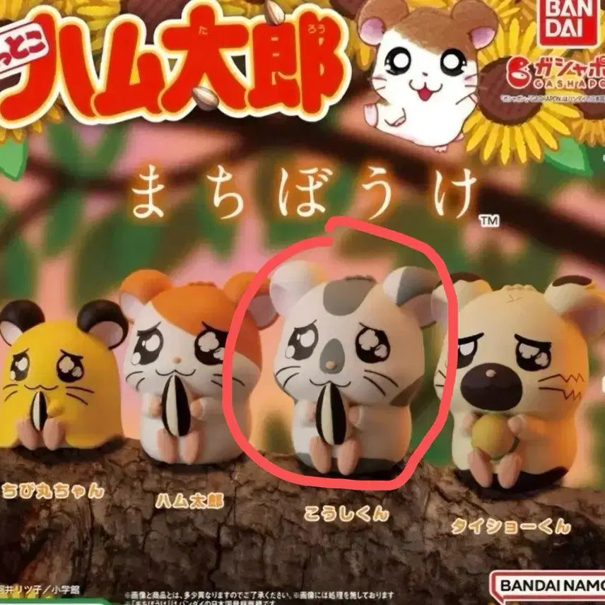 [BUNJANG] Hamutori Machiboke Gacha Toy / 햄토리 마치보케 가챠 언제오려나 얌얌이 얌냠이