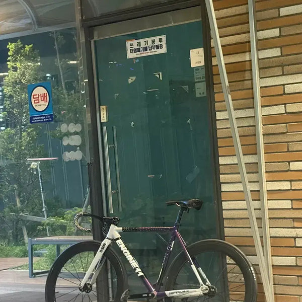 [BUNJANG] Eggplant Full Bike / 에그플랜트 판/교