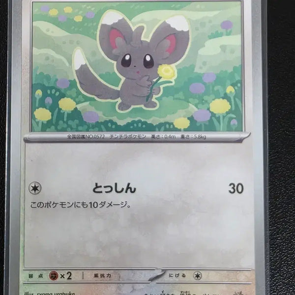 [BUNJANG] Pokemon Card Chirami C Ninja Spinner (Japanese) / 포켓몬 카드 치라미 C 닌자 스피너 (일어판)