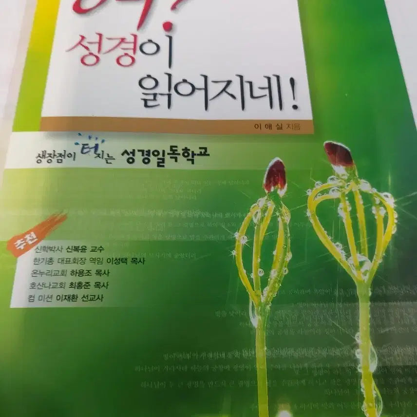 [BUNJANG] What? The Bible Reads Itself! Book / 어? 성경이 읽어지네!