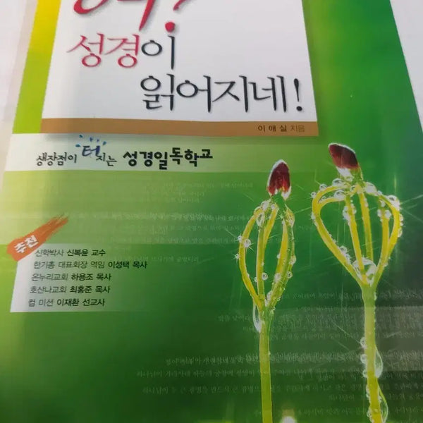 [BUNJANG] What? The Bible Reads Itself! Book / 어? 성경이 읽어지네!