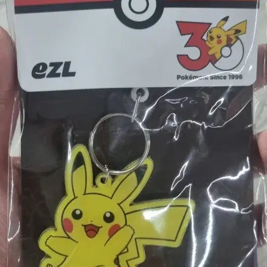 [BUNJANG] Pokemon Pikachu Eevee Keyring Card Holder / 포켓몬 피카츄 이즐 키링 교통카드
