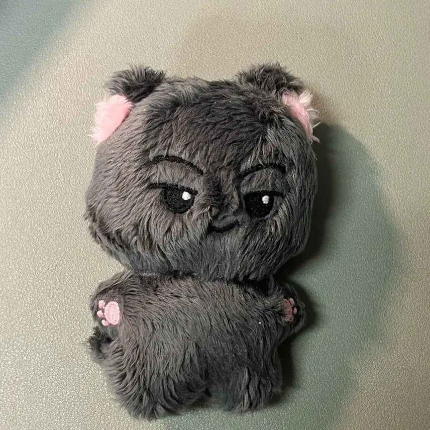 [BUNJANG] Enhypen Jay Ennizens US Cat Plush / 엔하이픈enhypen 제이 엔니멀즈 미국냥 양도