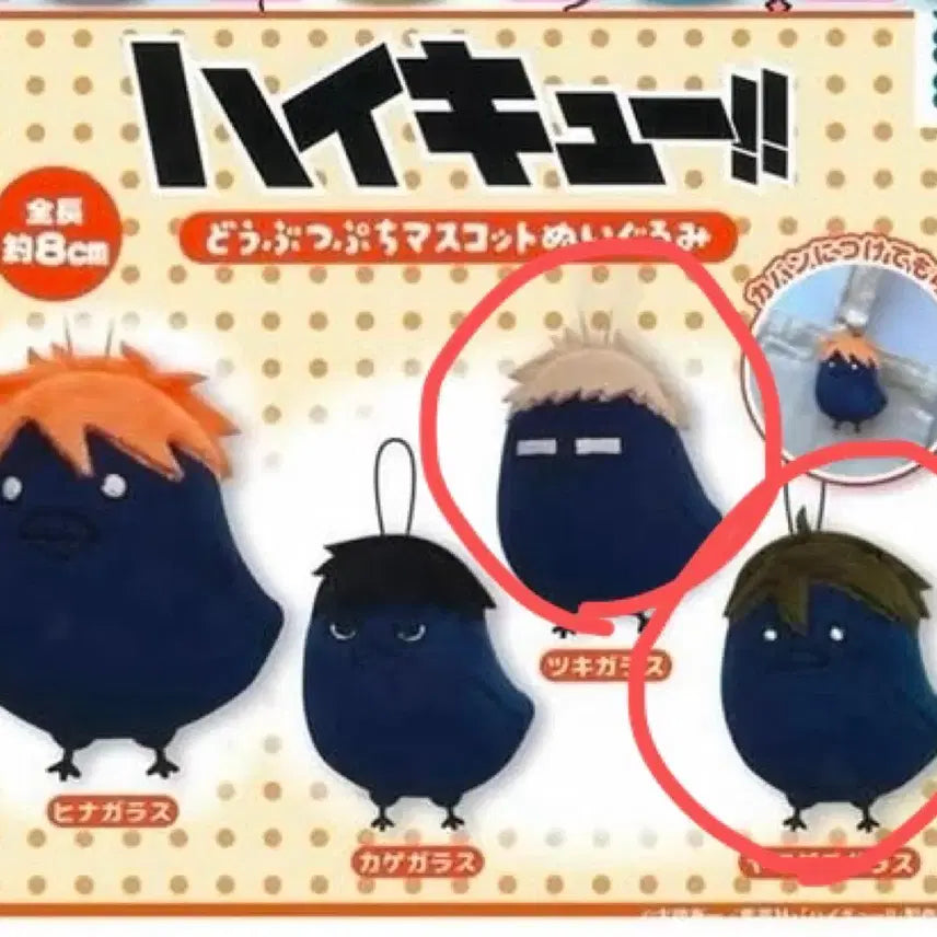 [BUNJANG] Haikyuu!! Tsukishima Yamaguchi Set Mascot Dolls / 하이큐 마스코트 인형 가챠 츠키시마 야마구치 세트