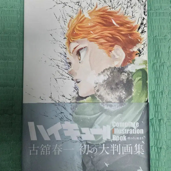[BUNJANG] Haikyu!! Complete Illustration Book / (일택포) 하이큐 컴플리트 일러스트레이션 북 양도