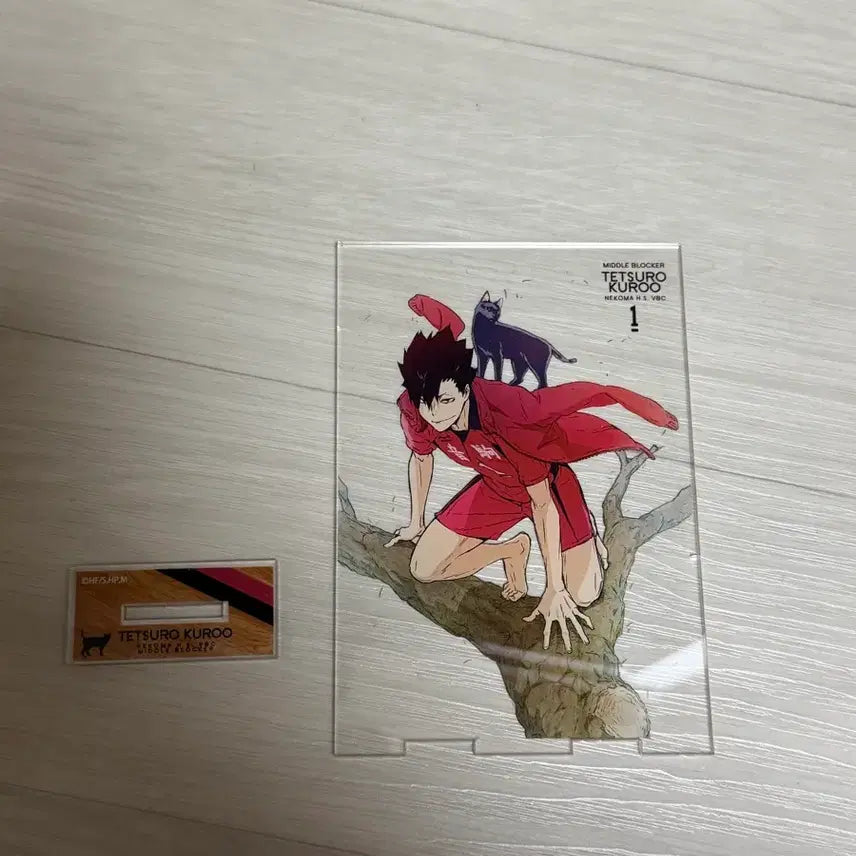 [BUNJANG] Haikyuu!! Kuroo Acrylic Stand / 하이큐 쿠로오 아크릴