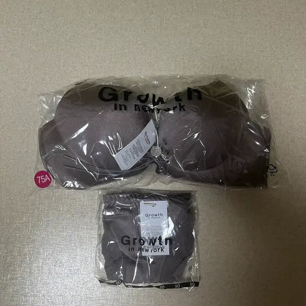 [BUNJANG] Gross in New York Corset Bra and Panty Set / (새상품) 그로스인뉴욕 코르셋브라 팬티 세트