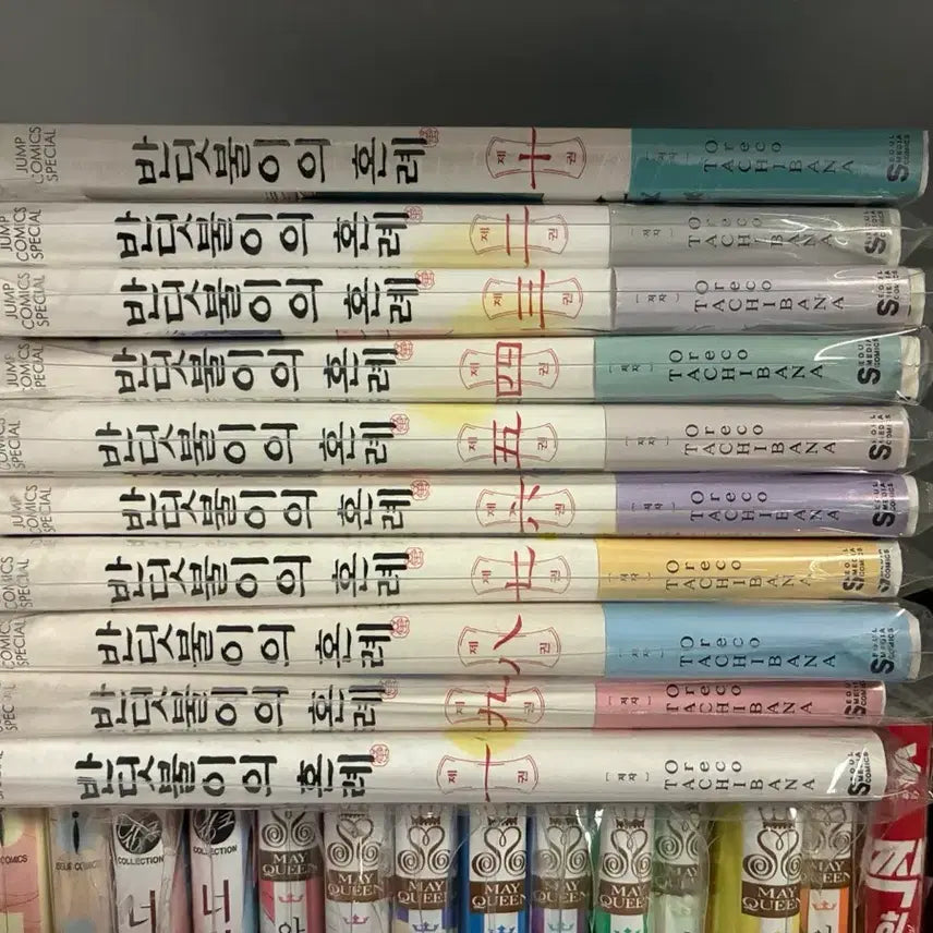 [BUNJANG] Firefly's Wedding Complete Set (Volumes 1-10) First Edition / 반딧불이의 혼례 1-10권 (2-10 초판) 특전 있음 만화책 전권