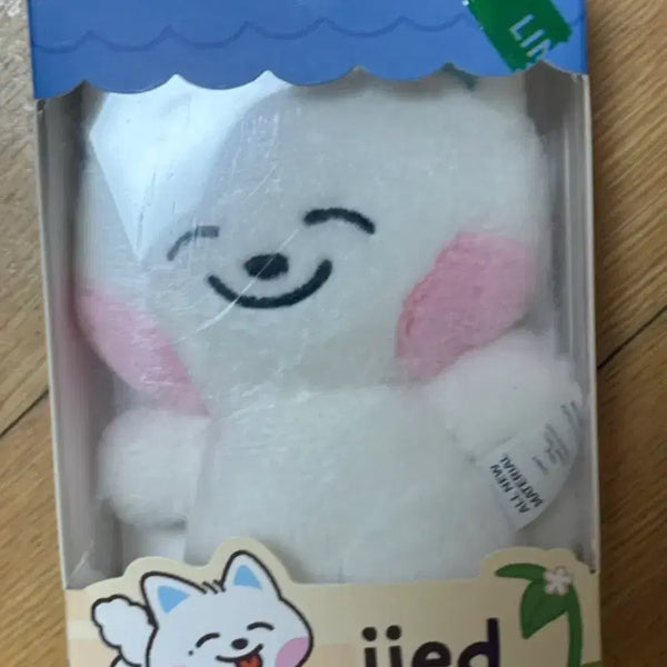 [BUNJANG] Line Friends NCT Dream Jeno Jjedu Doll / 라인프렌즈 NCT 드리미즈 제노 쩨드 인형