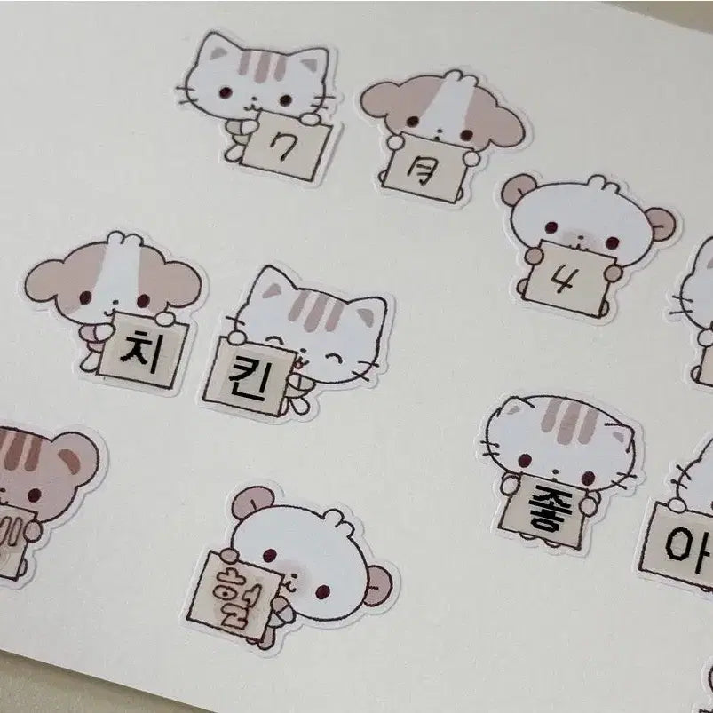 [BUNJANG] Bebe Kiss Cut Fabric 3 Types / 베베 키스컷 3종