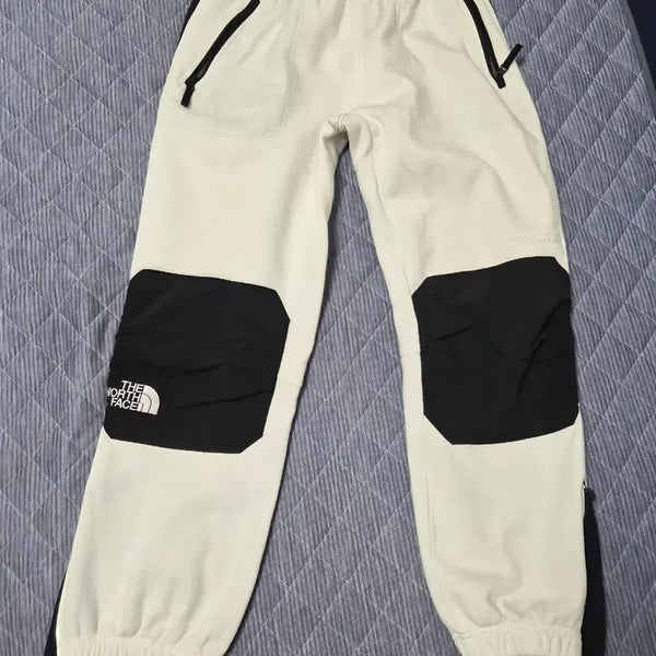 [BUNJANG] Supreme x The North Face Steep Tech Pants (Spring/Summer 2016) - Size Large / S/S 2016 슈프림 x 노스페이스 스팁 테크 팬츠 사이즈 라지