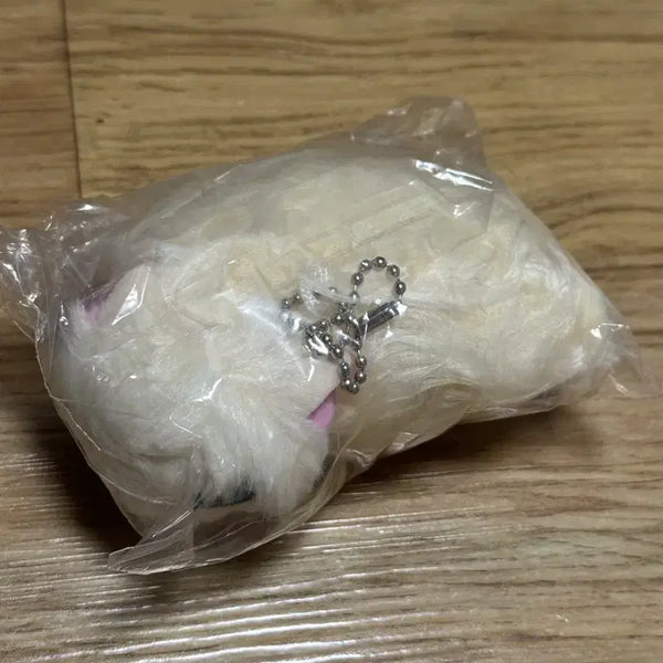 [BUNJANG] UnTamed Cat Gacha 1st Edition Beige, White / 길들여지지 않는 고양이 가챠 1탄 베이지색, 흰색