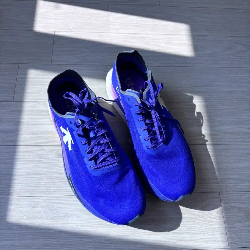 [BUNJANG] Descente Delta Pro v3 Running Shoes (275mm) / 데상트 델타프로 v3 275
