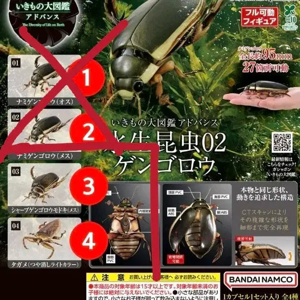 [BUNJANG] Bandai Bio-Gacha Advance Aquatic Insects Vol. 2 Bundle Set (Sealed) / 미개봉) 반다이 생물대도감 어드밴스 수생곤충2 물방개 물방개붙이 물장군 일괄