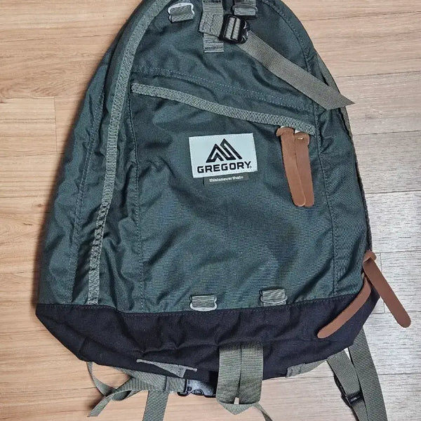 [BUNJANG] Thisisneverthat x Gregory Collaboration Backpack Green Leather Detail / 디스이즈네버댓 그레고리 백팩