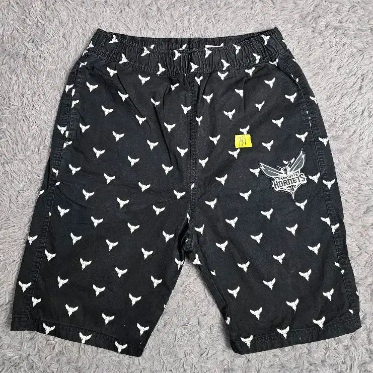 [BUNJANG] NBA Charlotte Hornets Basketball Shorts / NBA 샬럿 호네츠 반바지 76